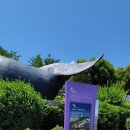 수국정원 이미지