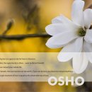 풍요 - 북구 양일로305번길 8 | 풍요