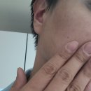 셀비아 미솔로지 크리에이션 앰플 사용 후기, 생각보다 괜찮았어요!!