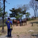 장기목장 이미지