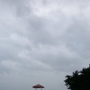 강우카 Daum카페