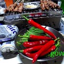 문장대 야영장 이미지