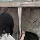 씨유 독립문행복점 | 20240831