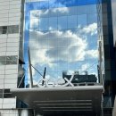 배부른 | 서울 카페쇼 2025 평일 시식 왕창 먹고 배부른 방문 후기