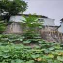 평화동-07 이미지