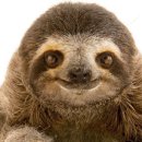 자연과미술유치원 이미지