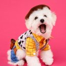 프리제(frise) 이미지