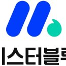 미스터블루 조선비즈