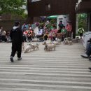 예쁜돼지 이미지