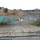 효성목장 이미지