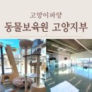 동물보육원 천안지부 | 고양이파양 믿고찾는 동물보육원 고양지부