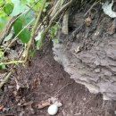 현제농장 이미지