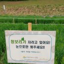 독산천 이미지