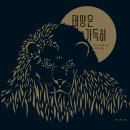 보림콜렉션