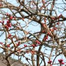 선암사 관광안내소 이미지