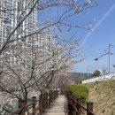 해수천1호 네이버블로그