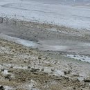 의항농장 이미지