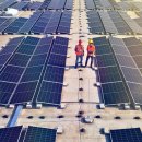 엔터태양광발전소 이미지