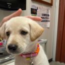 CU 언양 블루점