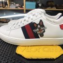 에이스 캣 이미지