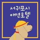 제주애견카페왈 구억점 | 서귀포시 애견호텔 정리