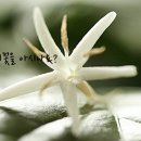 커피해요 이미지