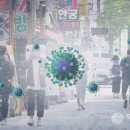 대전 6853 대전일보