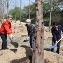 희망나무심기1 이미지