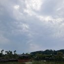 매산동 16-10 ~ 매산동 24 (육쌈냉면 ~ 평화마트) | 10월 제주 서쪽 여행기!