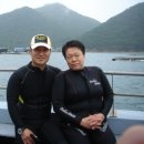 영투어 이미지