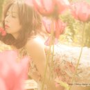 마츠유키 야스코 카카오 검색결과