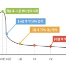 거북이영어공부방