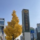 마트프라임경대 | [대구] 유이르뷰티 속눈썹 클리닉펌 후기