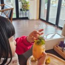 무이예술관 | 평창 아이와가볼만한곳, 무이예술관(내돈내산후기)