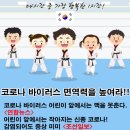 용오름 가온 태권도장 이미지