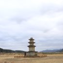 구황동 티스토리
