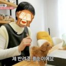 콩순이네 이미지