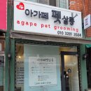 아가페 펫살롱 네이버블로그