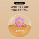 도깨비북문점 | 일본 소도시 다카마쓰 3박4일 여행 26.04.21-25.