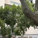 남경가든 | 중국 난징 여행 / 남경 센트럴 호텔 - 신제커우 시내 근처 (디럭스 룸)