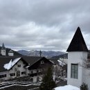 호텔나무 이미지