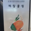 프레이골프존 | [ 롯데 하이마트 ] 김치냉장고 브랜드별 비교