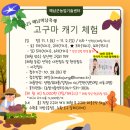 [2025 해남미남축제] 꼭 해봐야 할 체험 BEST 6 총정리!