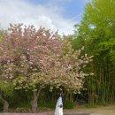 성산패총유물전시관 | 창원 성산패총 겹벚꽃 주차장 진해 근교 공원 데이트 가볼만한곳 추천