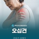 코끼리정형외과의원 | 평택역정형외과 밤마다 욱신거리는 어깨, 오십견 가능성