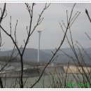 돈키호테 발전소 이미지