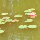 행구수변공원 화장실 이미지