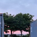 비비큐 완도 청산점 | 늦여름 청산도 여행 - 02 (교통/숙소/지리해변)