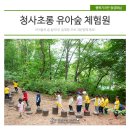 오목문화 유아숲체험원 이미지