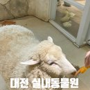 마리앤쥬(ZOO) 이미지